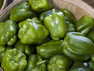green-bell-peppers-med-size